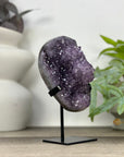 Uruguayan Amethyst Geode on Stand - MWS3303