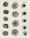 Wholesale Stalactite Slices for Jewelry Making - Bulk Flat Set - STS0061