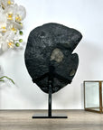 Deep Purple Amethyst Stone Geode Statement Piece on Stand - MWS3032