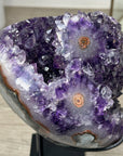 Natural Amethyst Crystal Cluster Specimen - MWS2302
