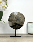 Natural Quartz Geode Crystal - Unique Mineral Display from Uruguay - MWS2889