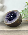 Large Natural Uruguayan Amethyst Geode with Large Crystals - STGE0042
