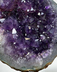Natural Uruguayan Amethyst Geode Cave - MWS1532