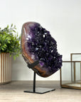 Large Deep Purple Amethyst Cluster with Red Jasper & Agate Matrix - MWS2153