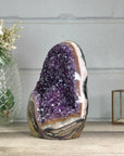 XL Amethyst Cathedral with Rainbow Jasper & Agate Shell - CBP1253