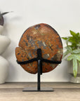 Natural Agate & Amethyst Natural Cave - Handmade Metal Stand Included - MWS3344