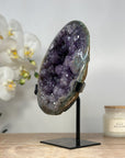 Rare Amethyst Geode Full of Stalactite Formations - MWS1484