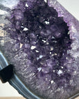 Stunning Amethyst GEode with Blue Banded Agate Shell - MWS1392