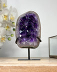 Natural Amethyst Cluster with Large & Shinny Crystals - MWS2126