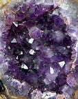 Natural Amethyst Geode with Large & Shinny Crystals - MWS1835