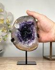 Amethyst Crystal Geode with Quartz Shell - MWS1832