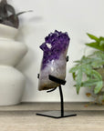Uruguayan Amethyst Cluster with Large & Shinny Crystals - MWS3308