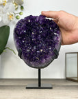 Natural Amethyst Crystal with Deep Purple Color - MWS2947