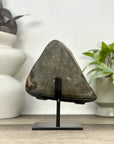 Natural Sugar Quartz Specimen on Metal Stand - MWS3371