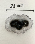 Wholesale Stalactite Slices for Jewelry Making - Bulk Flat Set - STS0051