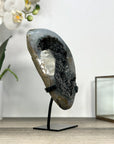 Black Amethyst Geode with Calcite Crystal Specimen - MWS2848