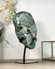 Collection Grade Natural Green Quartz Druzzy Specimen - MWS2516