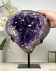 Impresive Large Amethyst Geode with Unique huge Shinny Crystals - MWS1804
