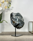 Gray Quartz Crystal Geode Specimen - MWS2689