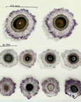 Unique Amethyst Stalactite Slices Set - Natural Crystal for Handmade Jewelry - STS0042