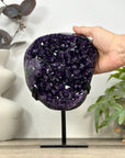 A Grade Natural Uruguayan Amethyst Geode - MWS3185