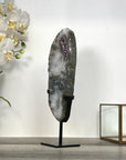 Amethyst and Quartz Slice Mineral Specimen for Home Decor - MWS2666