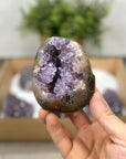 Mineral Specimens Lot - MSLT0193