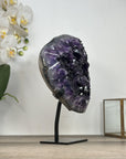 AAA Grade Amethyst Crystal Geode - Large Display Specimen - MWS2937