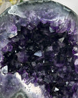 Top Grade Uruguayan Amethyst Geode with huge & Deep Purple Crystals - MWS2565