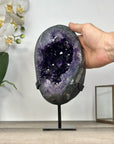 Amethyst Geode with Deep Purple Crystals - MWS2940