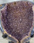 Natural Druzy Amethyst Geode with Agate Shell - MWS3337