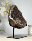 Quartz Geode with Microworld Stalactite Formation - MWS1288