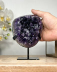 Natural Uruguayan Amethyst Cluster with Large & Shinny Crystals - MWS1893