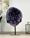 Large Amethyste Geode with Deep Purple Crystals - MWS2352