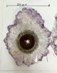 Amethyst Stalactite Slices Wholesale Flat - Ideal for Pendants - STS0070