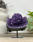 Natural Amethyst Crystal Cluster - MWS3305