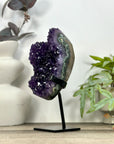 Top Grade Natural Amethyst Cluster on Metal Stand - MWS3212