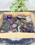 Mineral Specimens Lot - MSLT0219