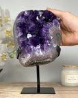 Natural Amethyst Cluster with Huge Deep Purple Crystals - MWS1710