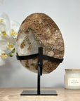 Stunning Large Sugar Druzy Quartz Geode, Metallic Stand Included - MWS1421