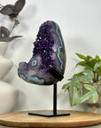 Natural Amethyst & Blue Agate Shell Statement Piece - MWS3116