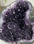 Amethyst Crystal Geode with Cut Base - CBP1167