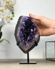 Premium Uruguayan amethyst Geode with Agate Shell - MWS2435