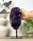 Natural Top Grade Amethyst Cluster on Metal Stand for Home Decor - MWS3169