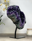 Top Grade Natural Amethyst Geode with Unique large Deep Purple Crystals - MWS1743