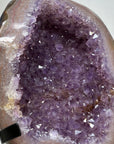 Stunning Natural Amethyst Geode with Agate Shell - MWS1430