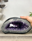 Xl Natural Amethyst Geode with Agate Shell - STGE0072