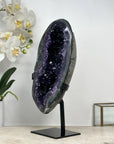One of a Kind Natural Amethyste Geode with Green Jasper & Agate Shell - MWS1854