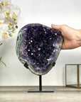 Uruguayan Amethyst Geode with Deep Purple Crystals – Natural Cluster Display on Stand - MWS2819