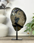 Large Natural Amethyst Specimen on Stand - MWS3275